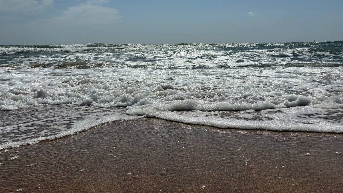    Фото: телеканал «Краснодар»