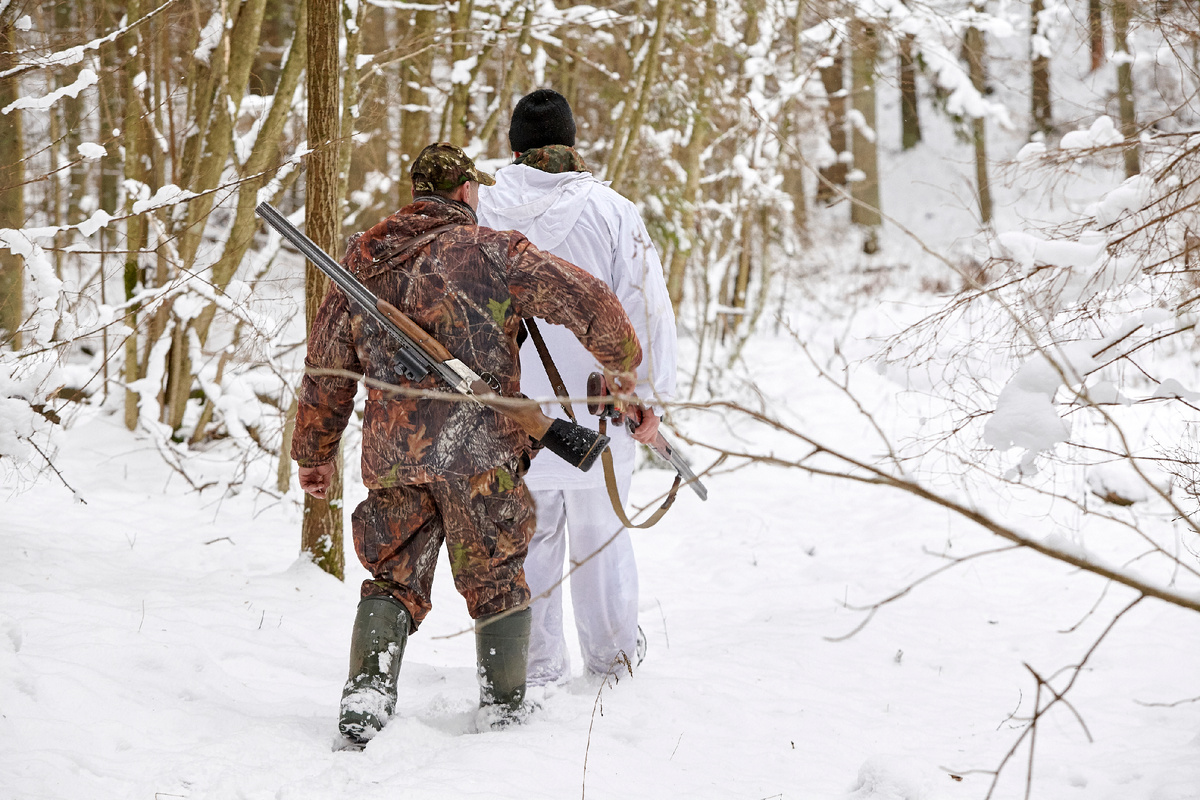 Фото: SVshot/Shutterstock/Fotodom