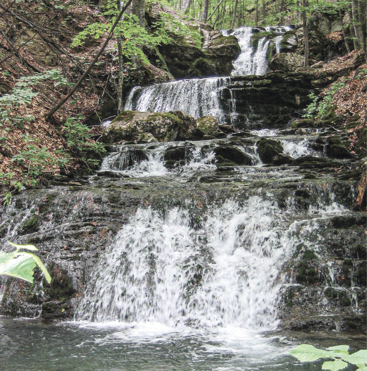 Фото: Иван Коваленко