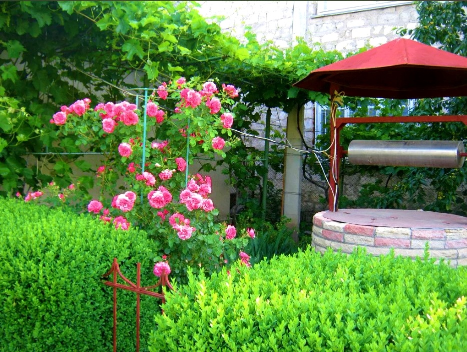 Наш колодец