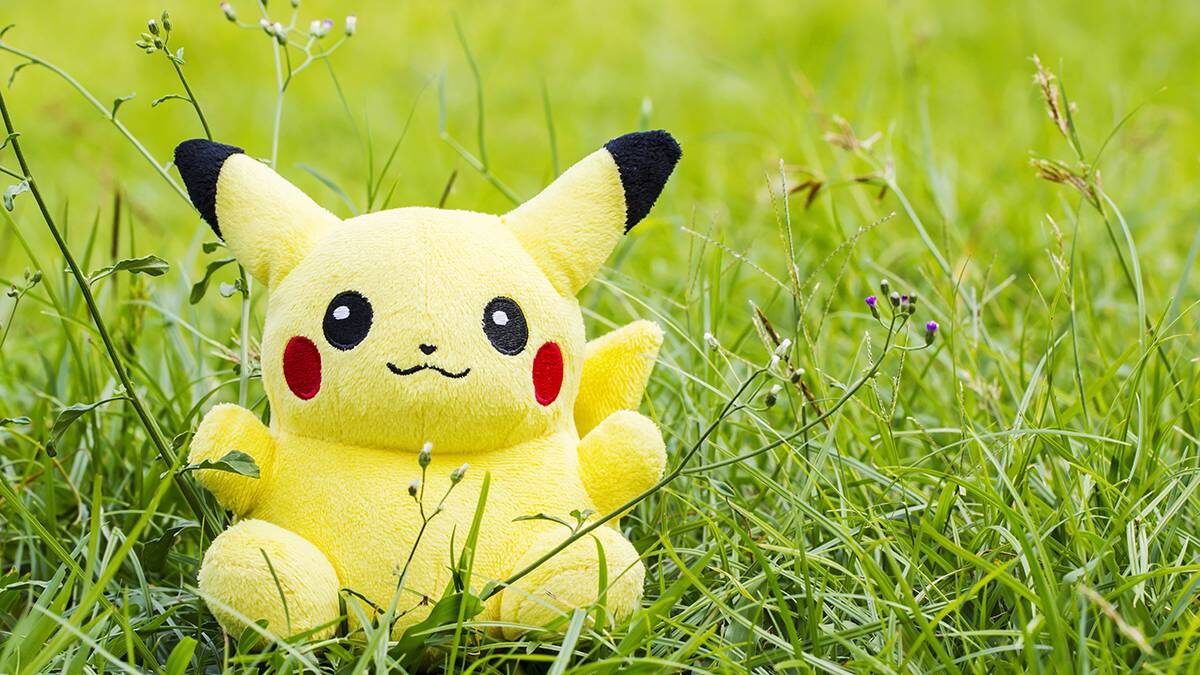    Фото: Shutterstock