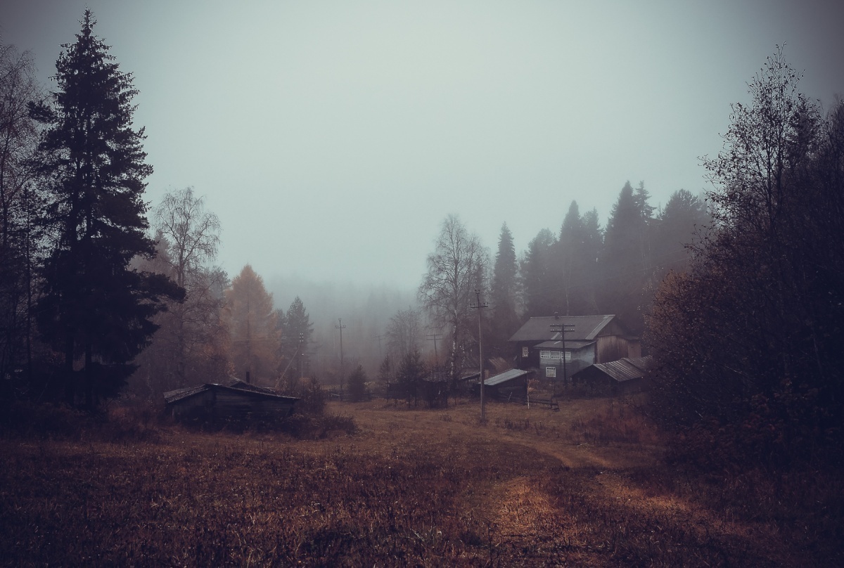 Яндекс.Картинки