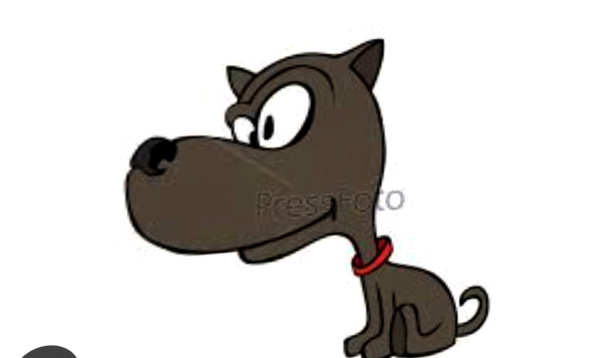 Картинка из интернета