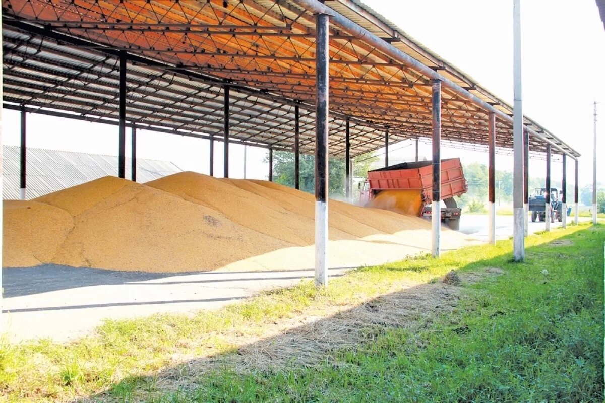    Ставрополье богато сельхозпродукцией, но её производители беднеют...