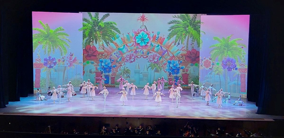 ВАЛЬС ЦВЕТОВ,19.12.24, фото автора