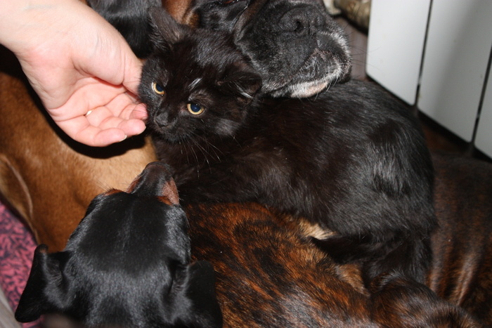 Листайте вправо, чтобы увидеть больше изображений