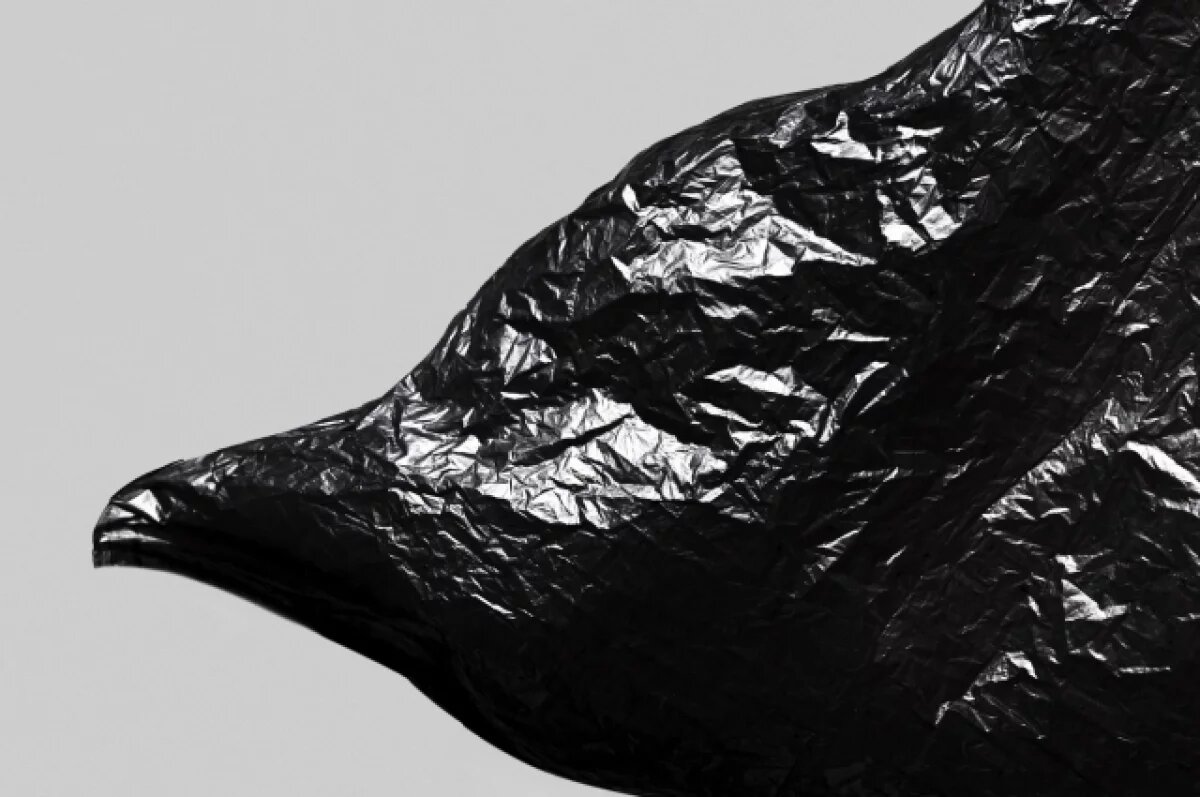    Пакет с костями пропавшего туриста на Кубани отдали его семье