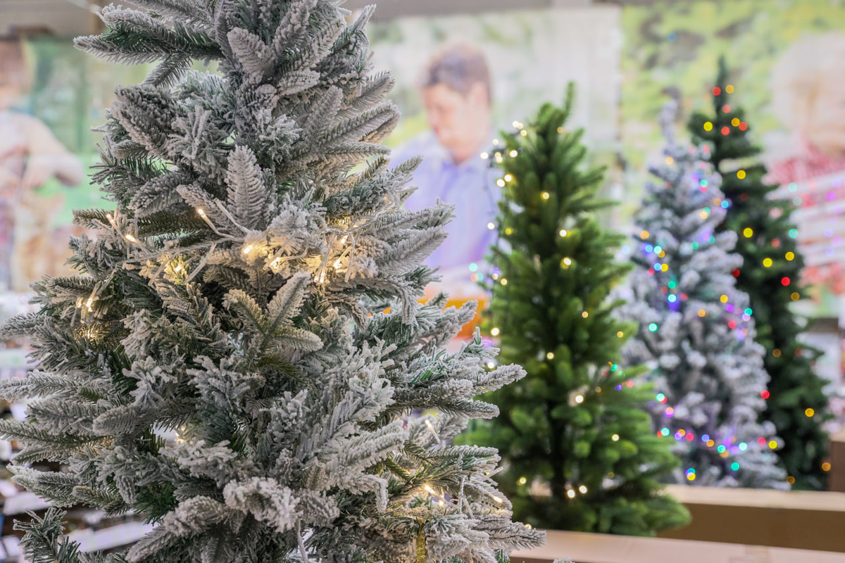     / Источник: © Bulkin Sergey/Global Look Press