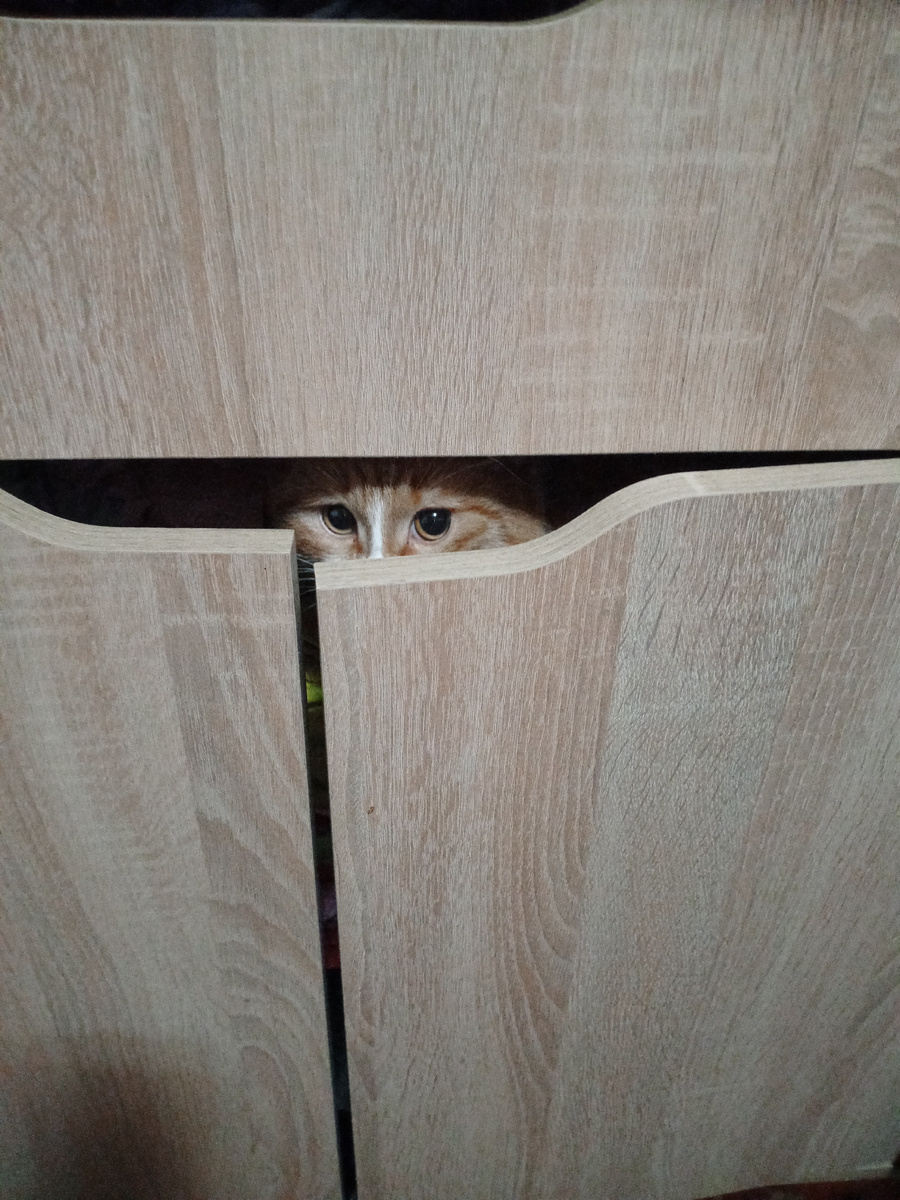 Фото автора.