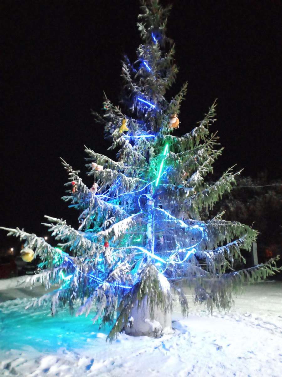 Фото автора.