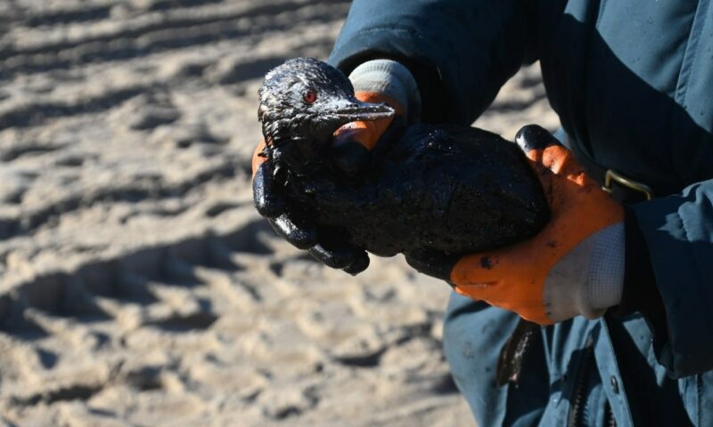 Дно черного моря без воды