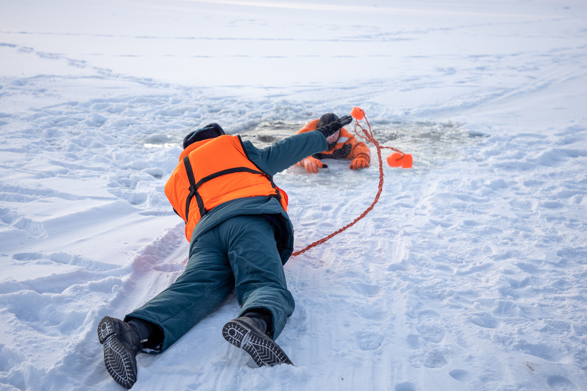 Фото: Тульская служба новостей
