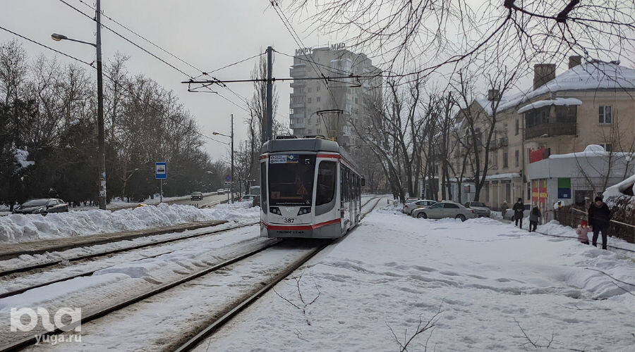     Зима в Краснодаре Фото Александры Прохоренковой-Аксеновой, Юга.ру