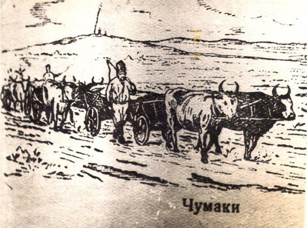 Возчики  соли- чумаки