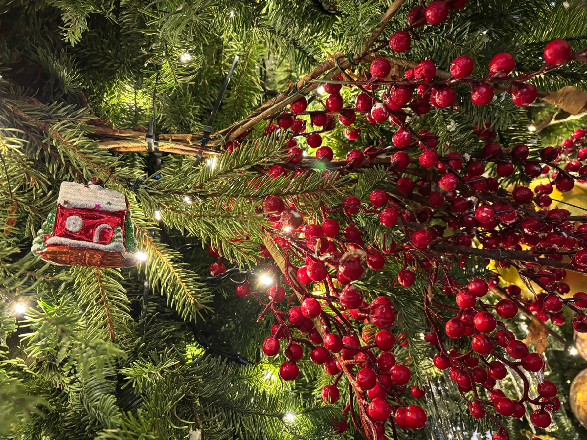 София Хохрякова