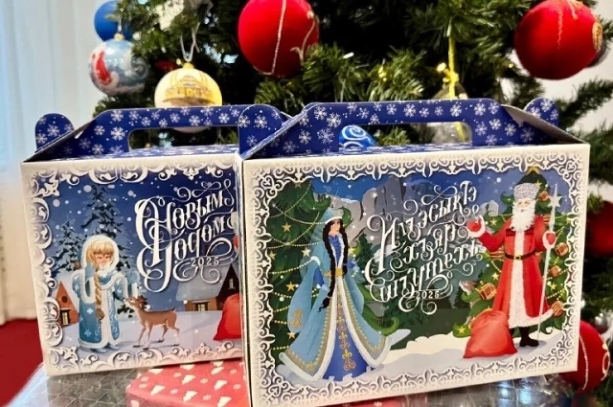    К Новому году младшие школьники Адыгеи получат подарки от Мурата Кумпилова