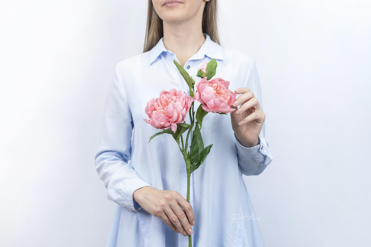 Искусственные пионы