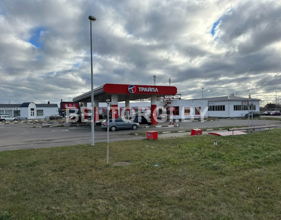    Фото: beltorgi.by