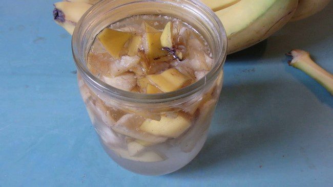 некоторые садоводы готовы подкармливать настоем бананов