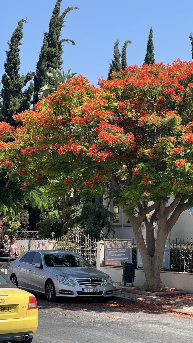 Фото из личного архива Александра Лазарева.