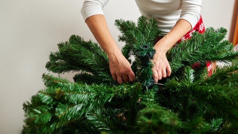 Источник: Спорт-Экспресс