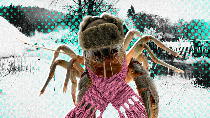 Кира Лисицкая (Фото: Legion Media; Светлана Краюшкина/Getty Images)