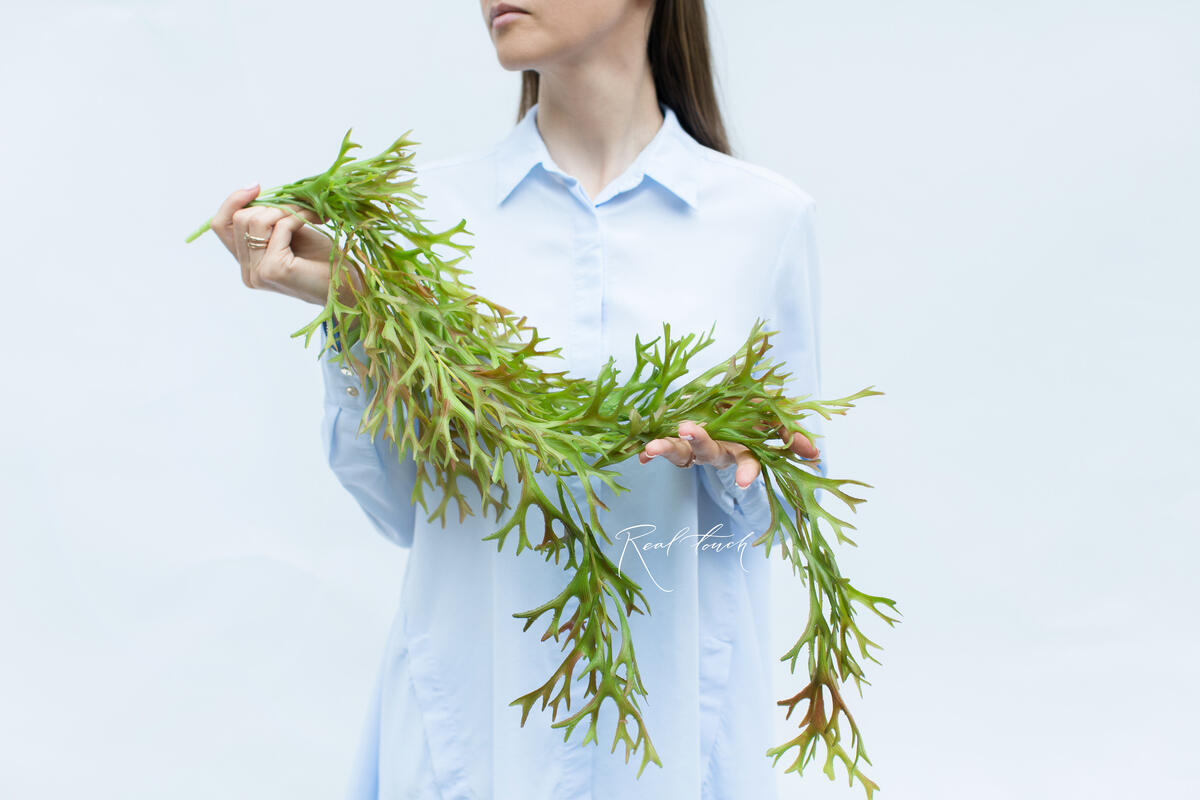 Искусственные ампельные растения