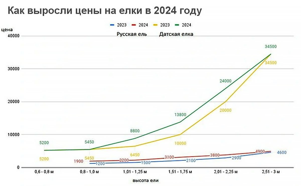 Цены на живые ёлки в нашем городе выросли на 30-40%. 