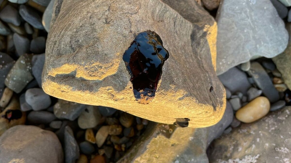    Фото: телеканал «Краснодар»