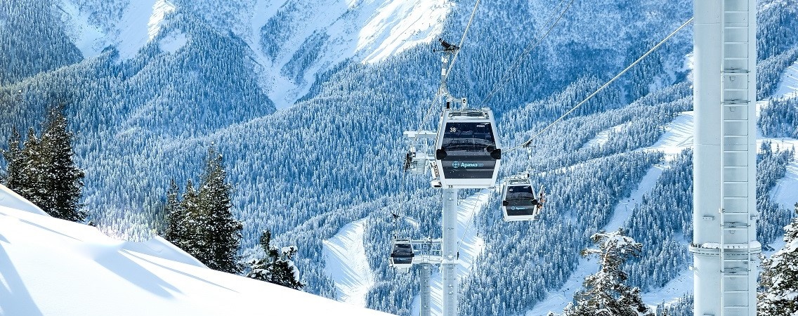 @Igor Lushchay/Shutterstock