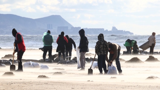    Глава Минприроды: в Чёрное море попало около 4000 тонн мазута после ЧП с танкерами Алина Городниченко