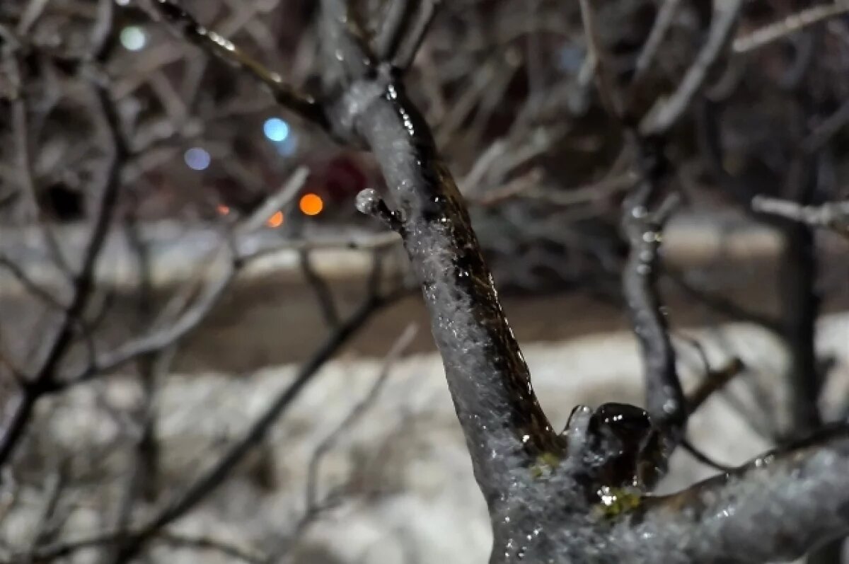    В Ульяновске готовятся устранять последствия ледяного дождя