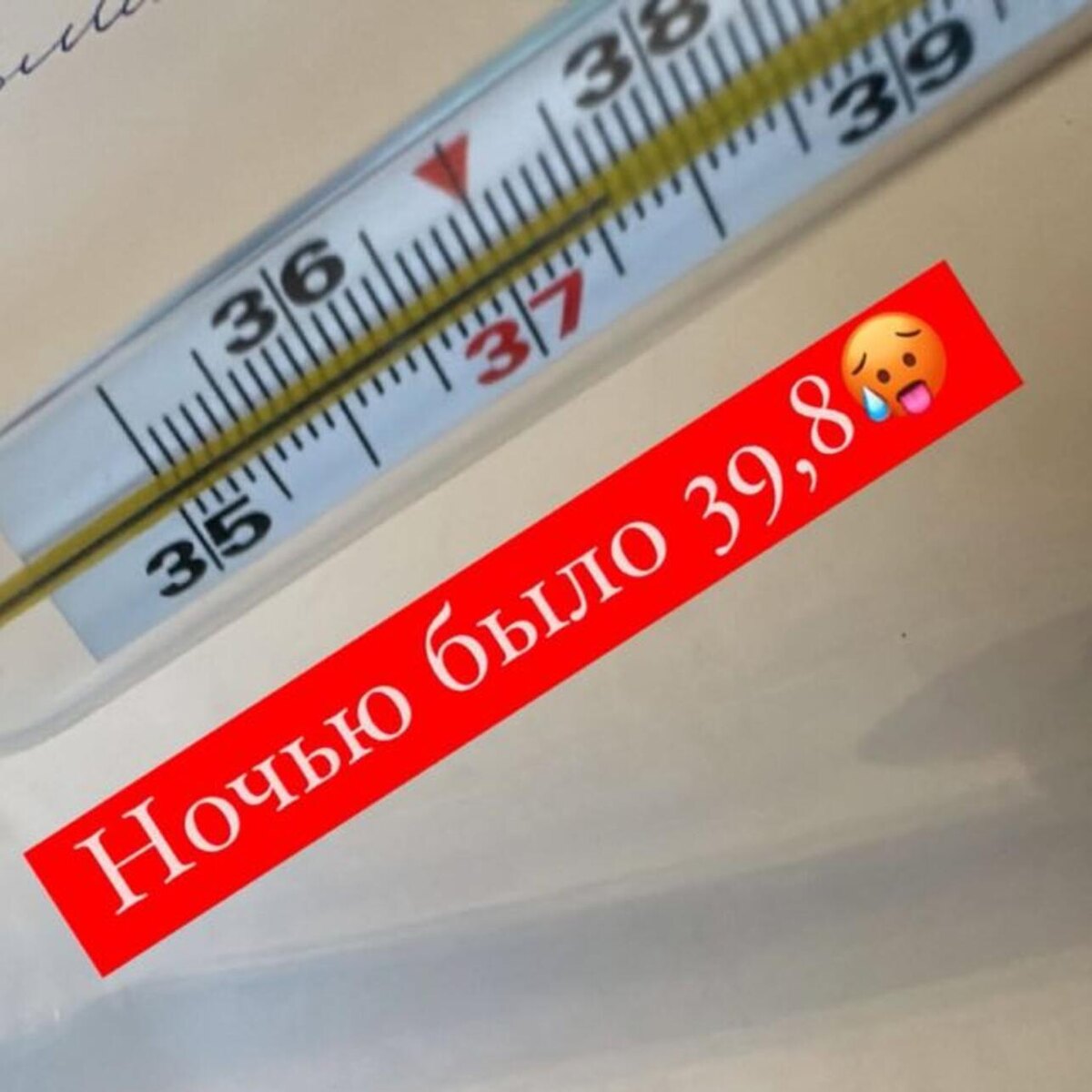    Пост певицы Славы Соцсети