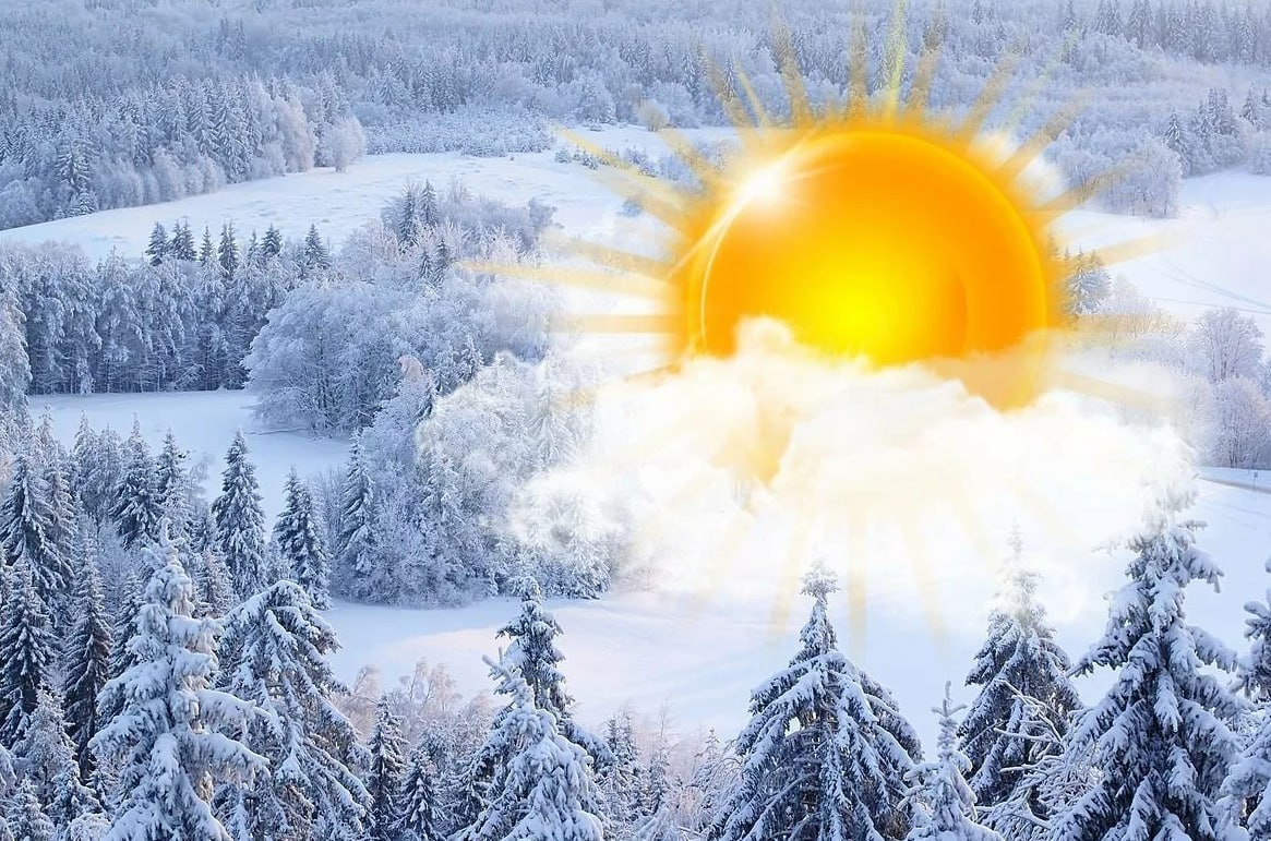 фото из интернета