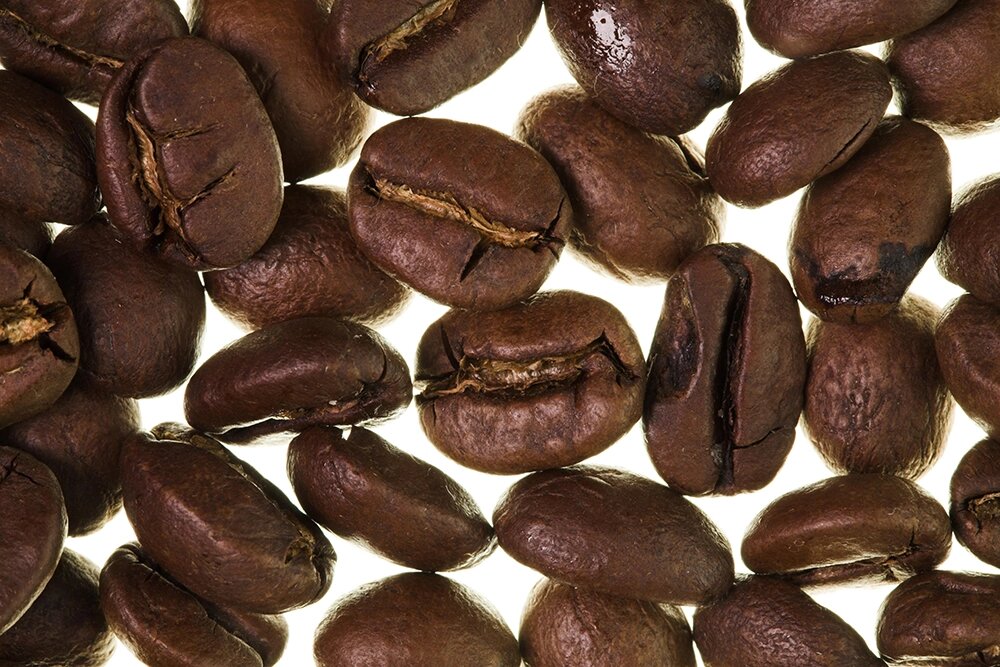    Фото:  www.globallookpress.com