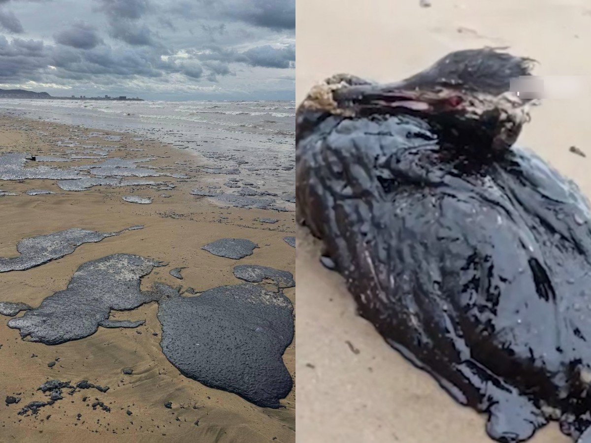 ФОТО: Из Сети