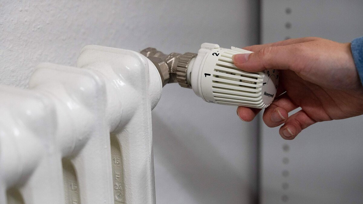    Фото: Alicia Windzio/globallookpress.com