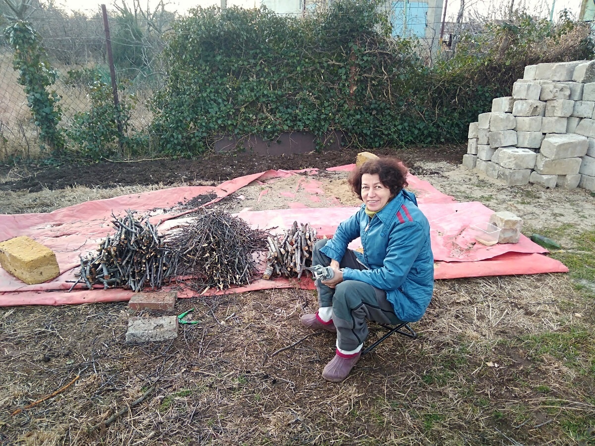 Первая крымская зима с новой пилой.