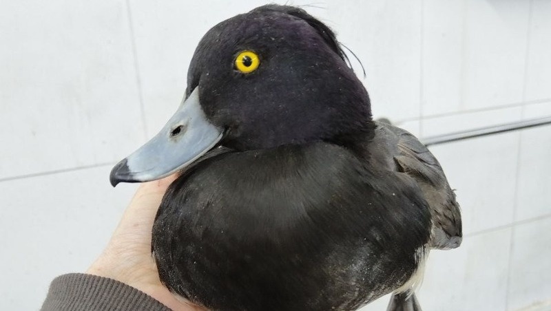      Фото: администрация Ставрополя