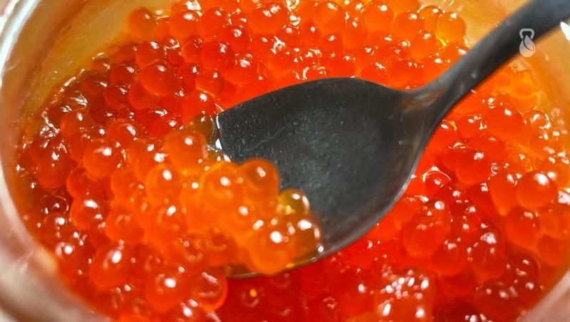      Фото: ИА «Победа26»