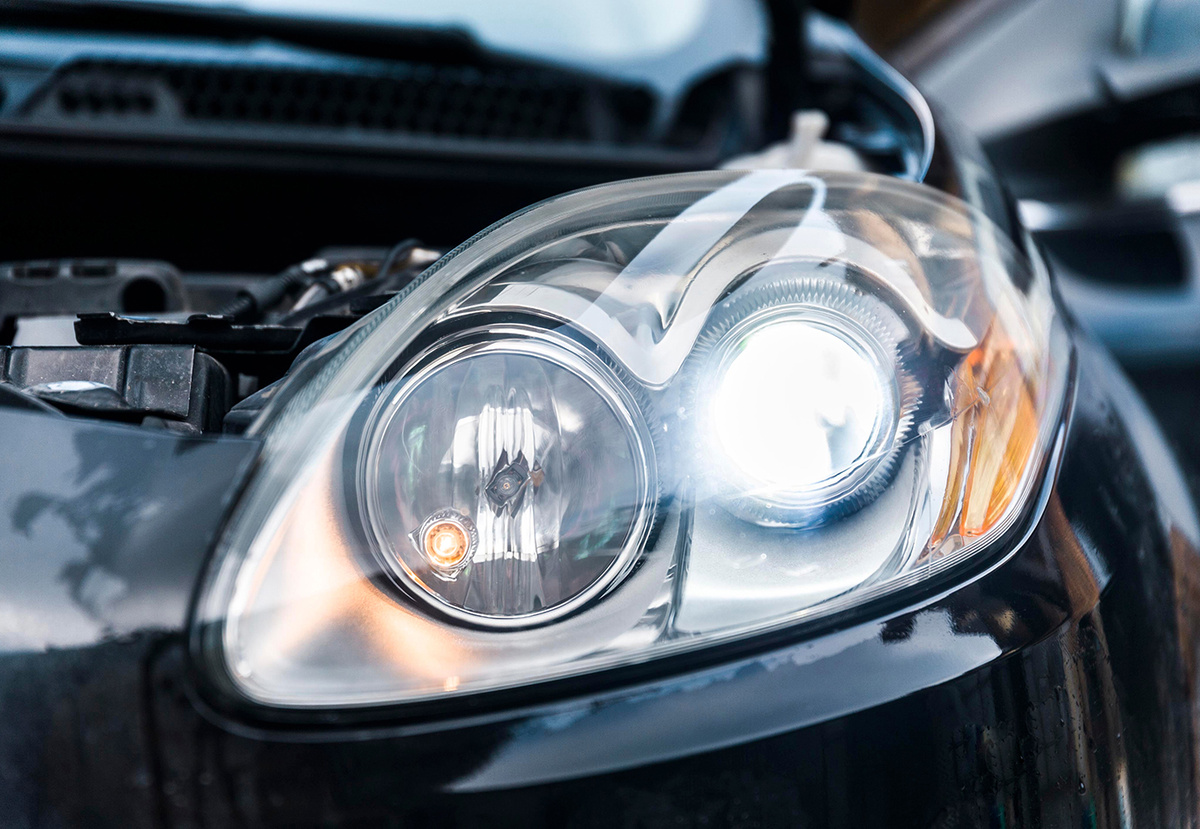 Фото: Shutterstock