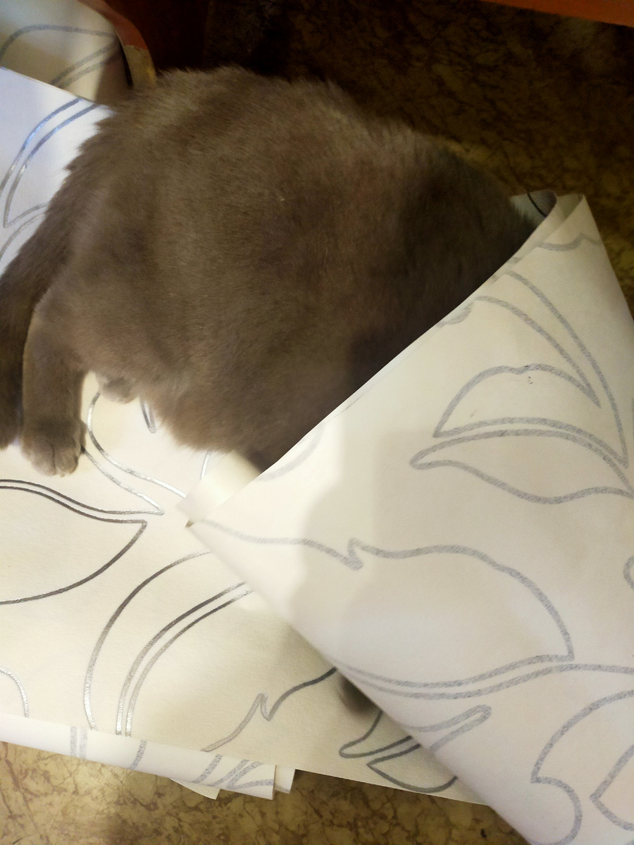 Видишь,я весь в работе.Попробуй потом сказать,что делала сама)).