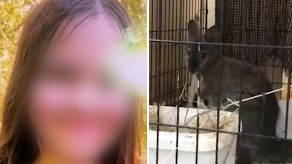 Фото: © Использованы материалы: Скриншот видео