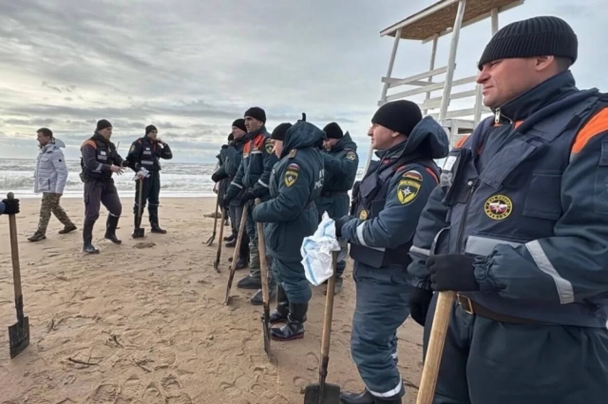    Владимир Тужилин вернулся в команду Глеба Никитина советником