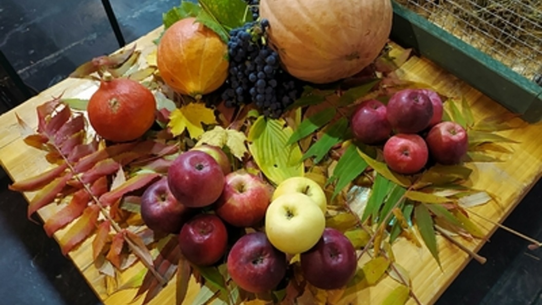    Victor Lisitsyn/Globallookpress