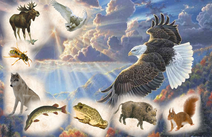 Изображение из открытых источников