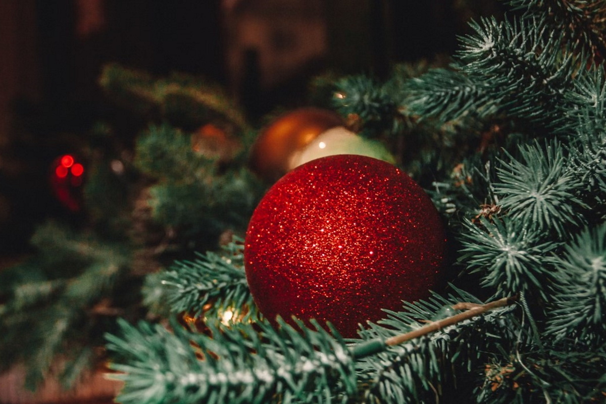     Не отличишь от живой: простой лайфхак заставить искусственную ёлку выглядеть натурально