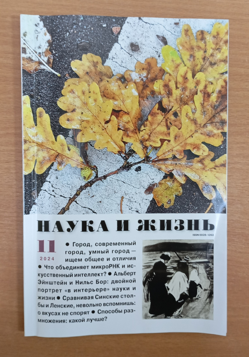 Фотография автора