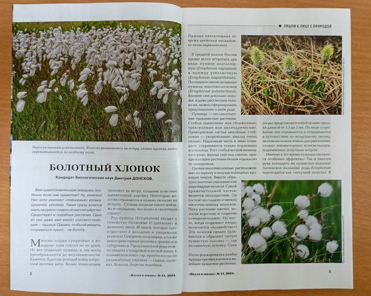 Фотография автора