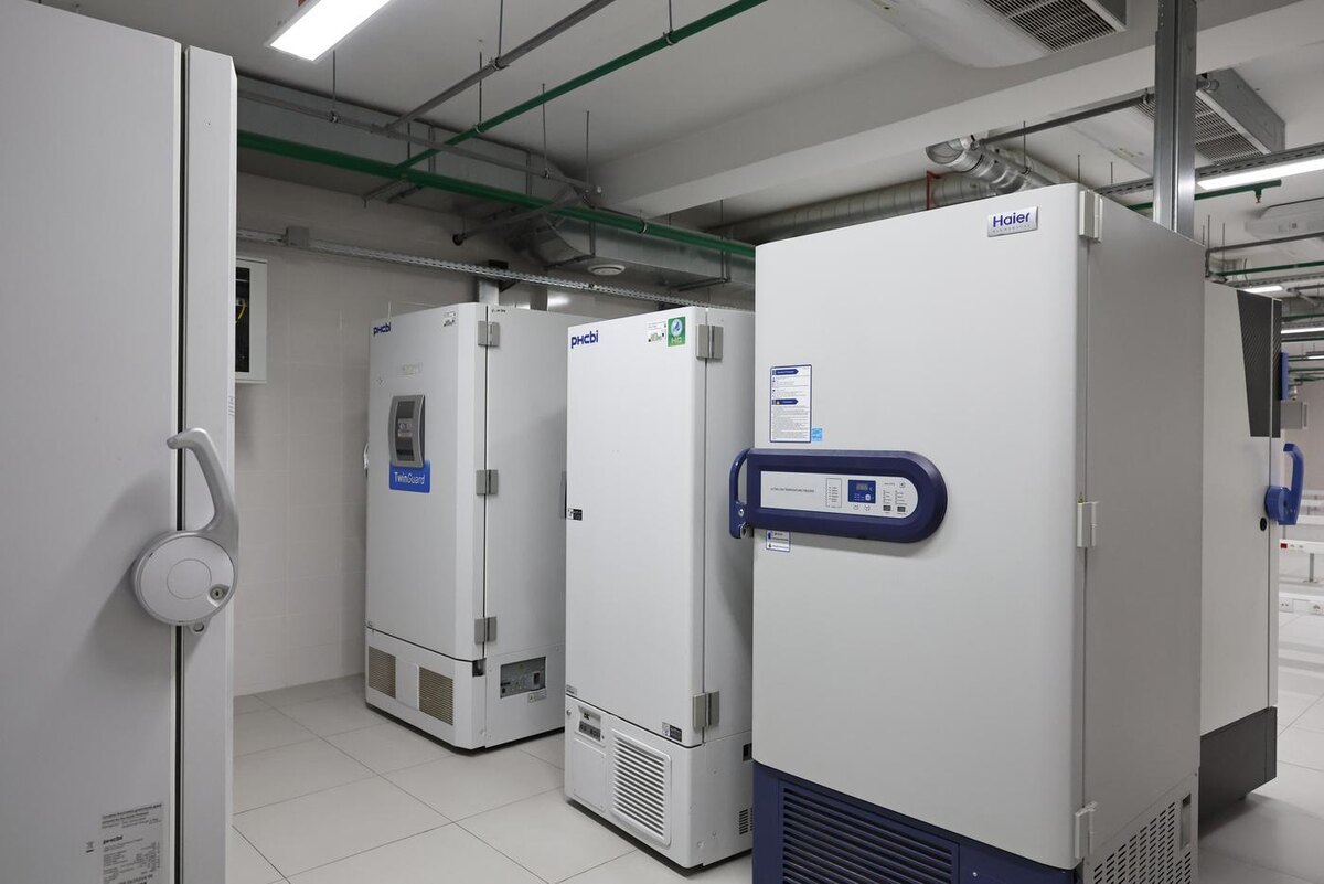 Елена Купцова
В первом зале находятся низкотемпературные холодильные камеры. В них хранят основные биоматериалы.